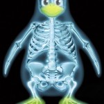 pingouin-linux