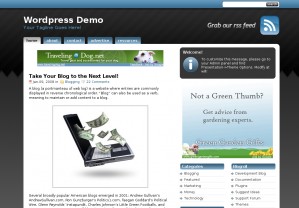 studiopress 299x208 I 5 migliori temi per wordpress...secondo me!!!