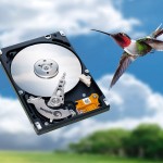 seagate technology 150x150 20 Sfondi gratis per il desktop