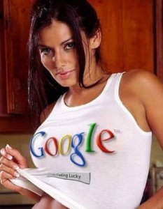 google2 233x300 Google Strumenti per WebMaster: Ecco il nuovo look