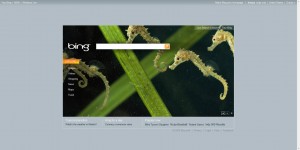 Home Page di Bing