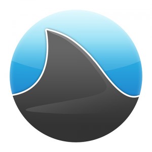 grooveshark 300x300 Grooveshark   La musica nel web 2.0