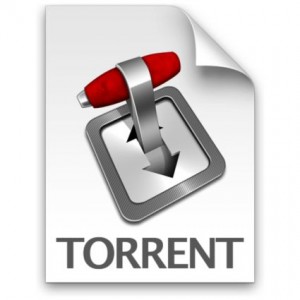 torrent-300x300_1 20090812torrent 300x300 Lista dei migliori siti Torrent italiani e non