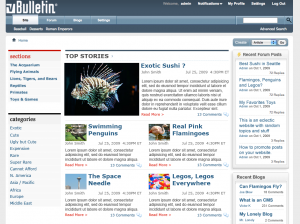 CMS home 300x224 vBulletin 4.0 non è solo un forum