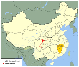 DELL Panda Forest DELL Panda Forest