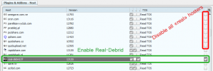 real debrid jdownloader 1 300x101 [Guida] Real Debrid su JDownloader